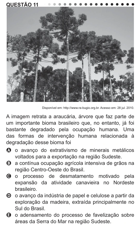 ENEM 2011 - questão 11: enunciado e alternativas no caderno oficial