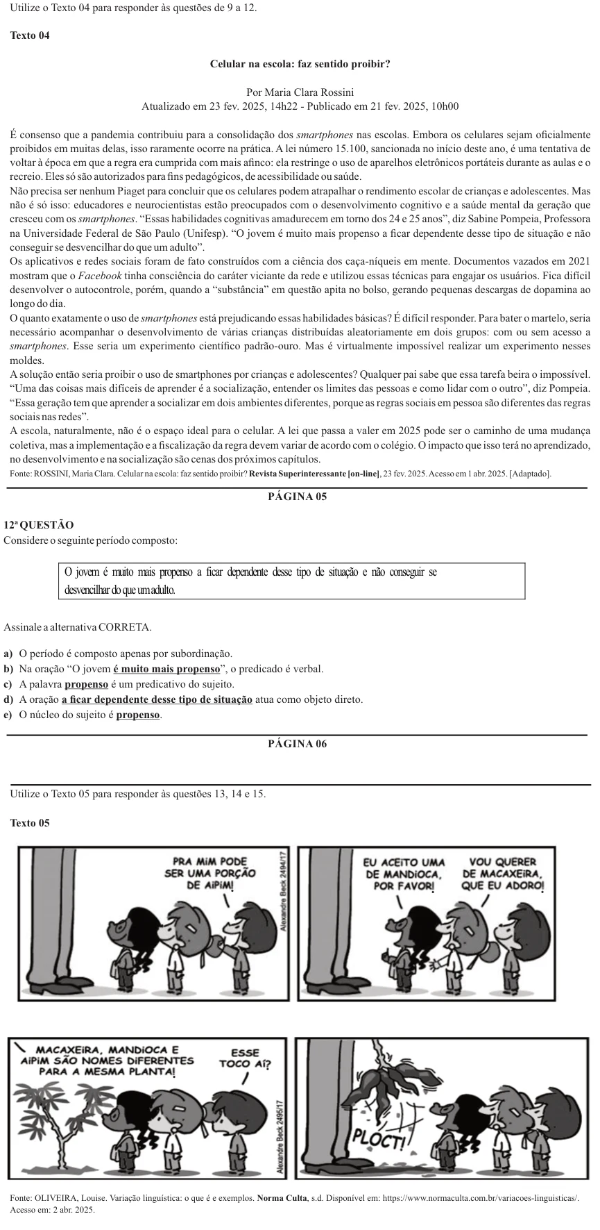Nova Palmeira 2025 · AGENTE ADMINISTRATIVO · questão 12: enunciado e alternativas no caderno oficial